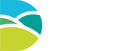 Dorset Council